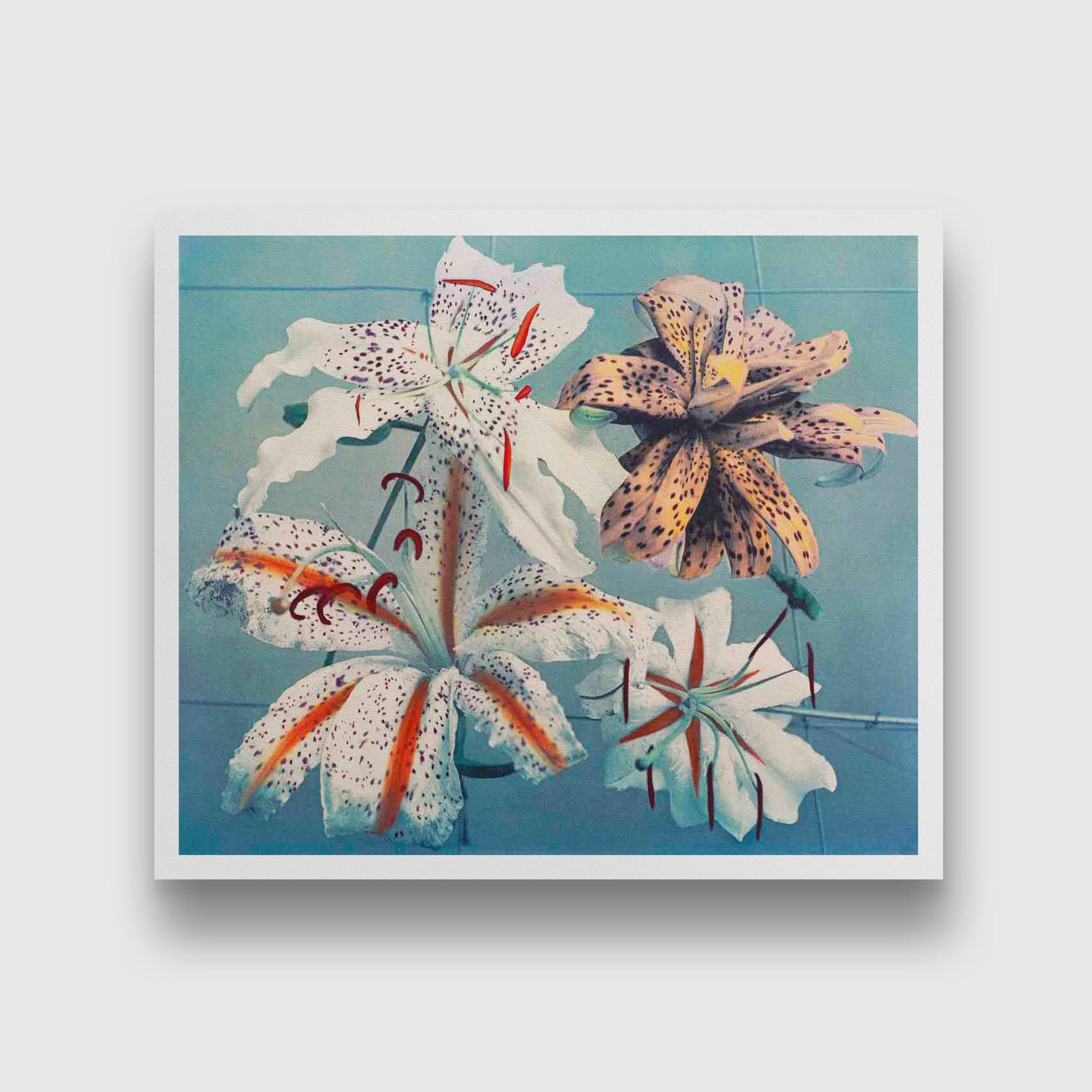 Lily, hand–colored collotype II painting 6 : 5 Horizontal Premium Wall Art Canvas by MeriDeewar