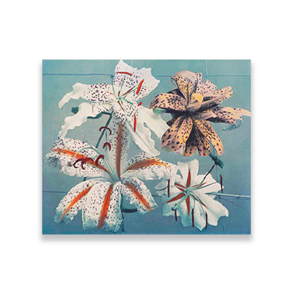 Lily, hand–colored collotype II painting 6 : 5 Horizontal Premium Wall Art Canvas by MeriDeewar