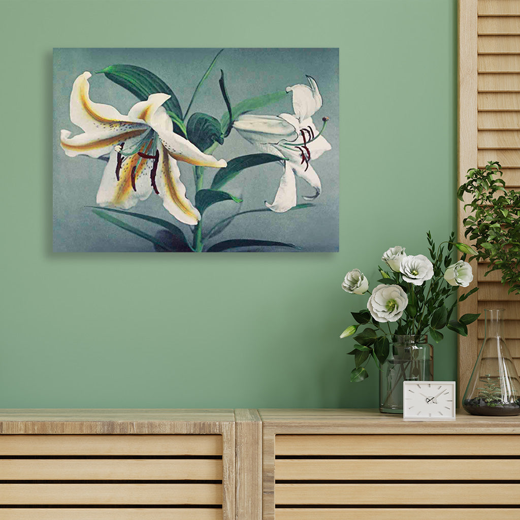 Lily hand–colored painting 3 : 2 Horizontal Premium Wall Art Canvas by MeriDeewar