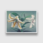 Lily hand–colored painting 3 : 2 Horizontal Premium Wall Art Canvas by MeriDeewar