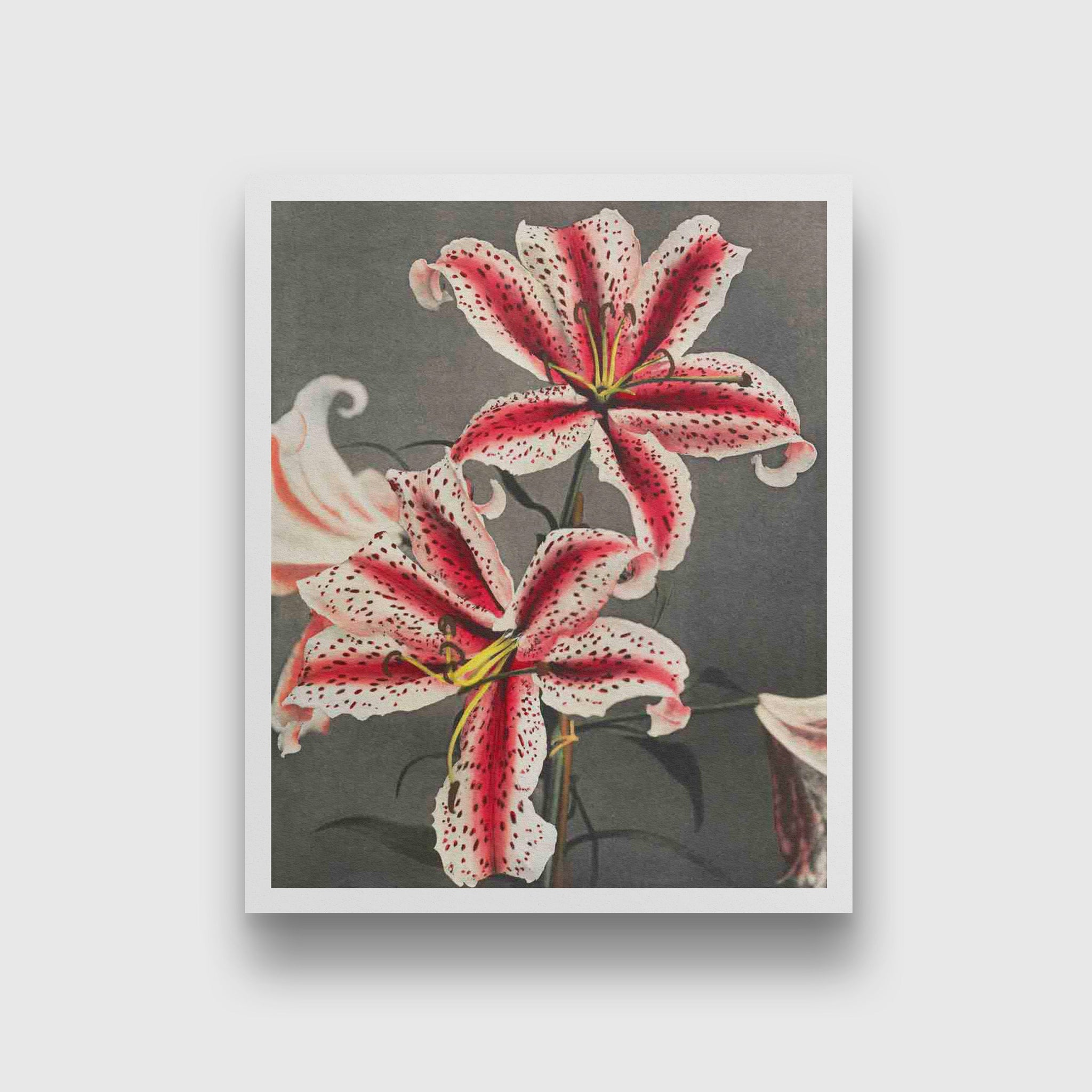 Lily KO painting 4 :5 Vertical Premium Wall Art Canvas by MeriDeewar