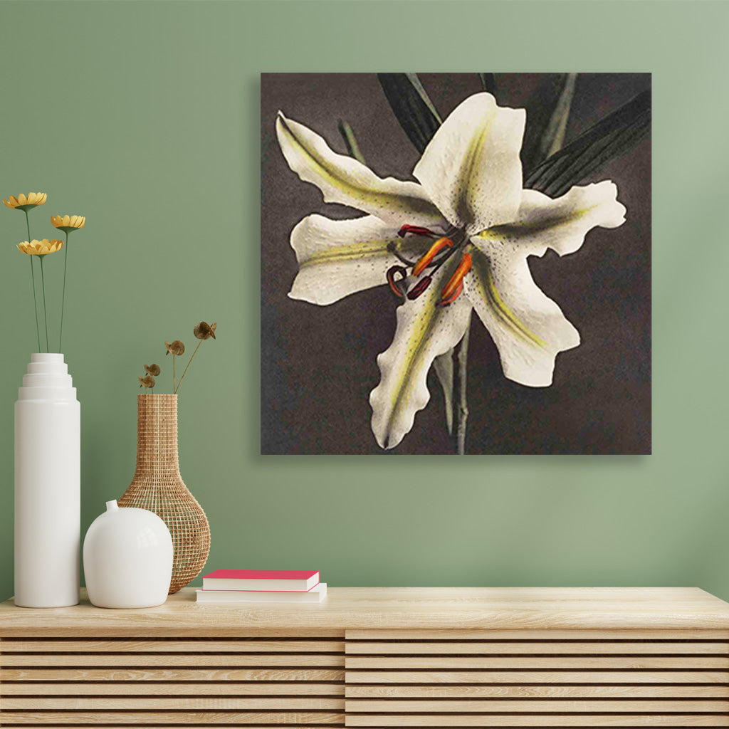 Lily Painting 1 : 1 Square Premium Wall Art Canvas by MeriDeewar