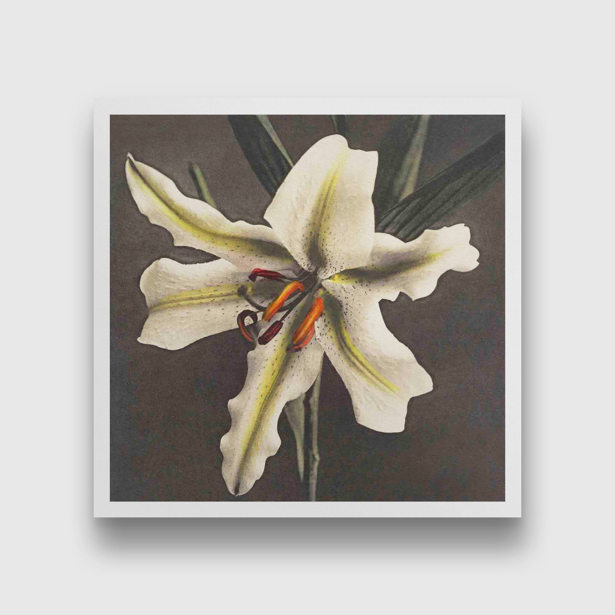 Lily Painting 1 : 1 Square Premium Wall Art Canvas by MeriDeewar