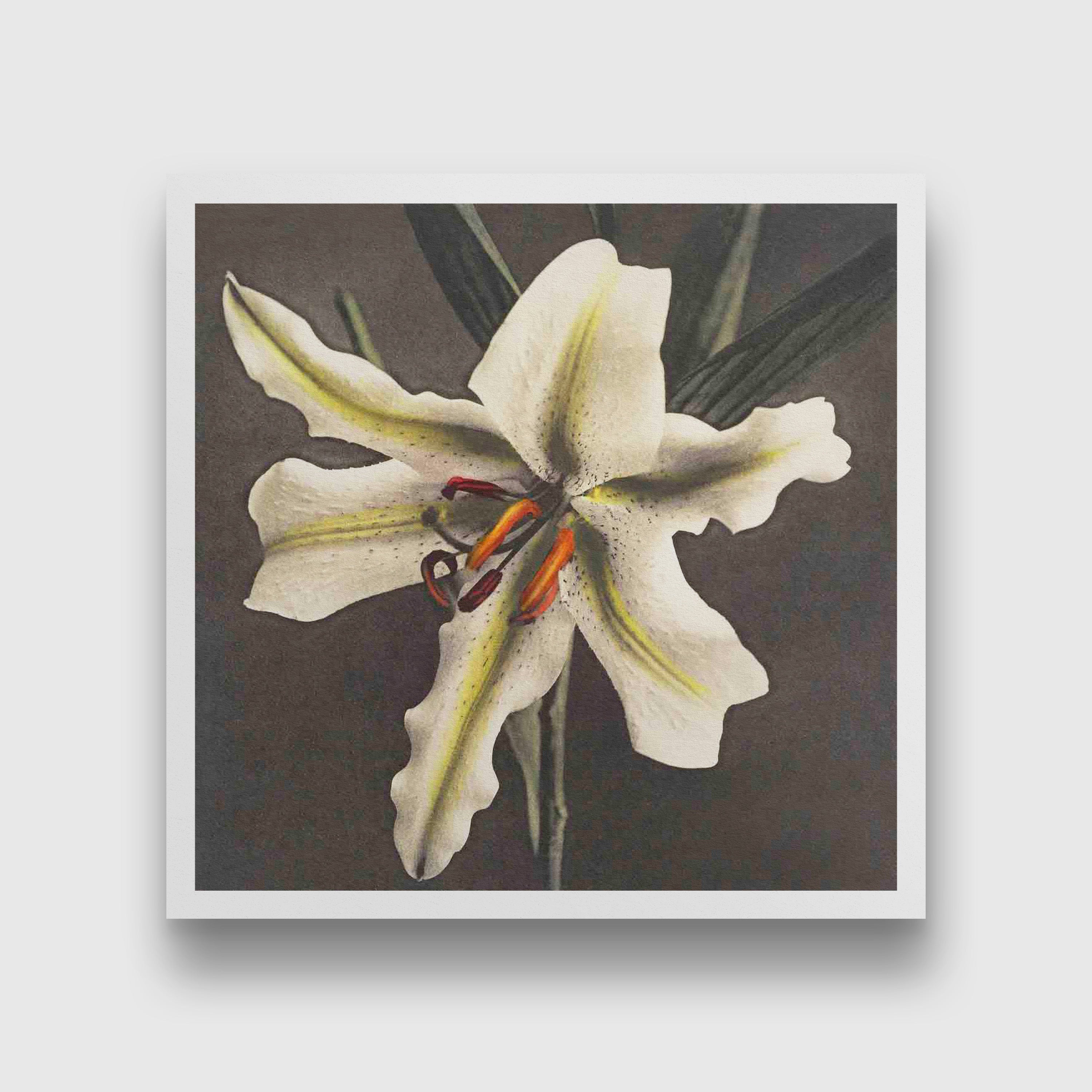 Lily Painting 1 : 1 Square Premium Wall Art Canvas by MeriDeewar