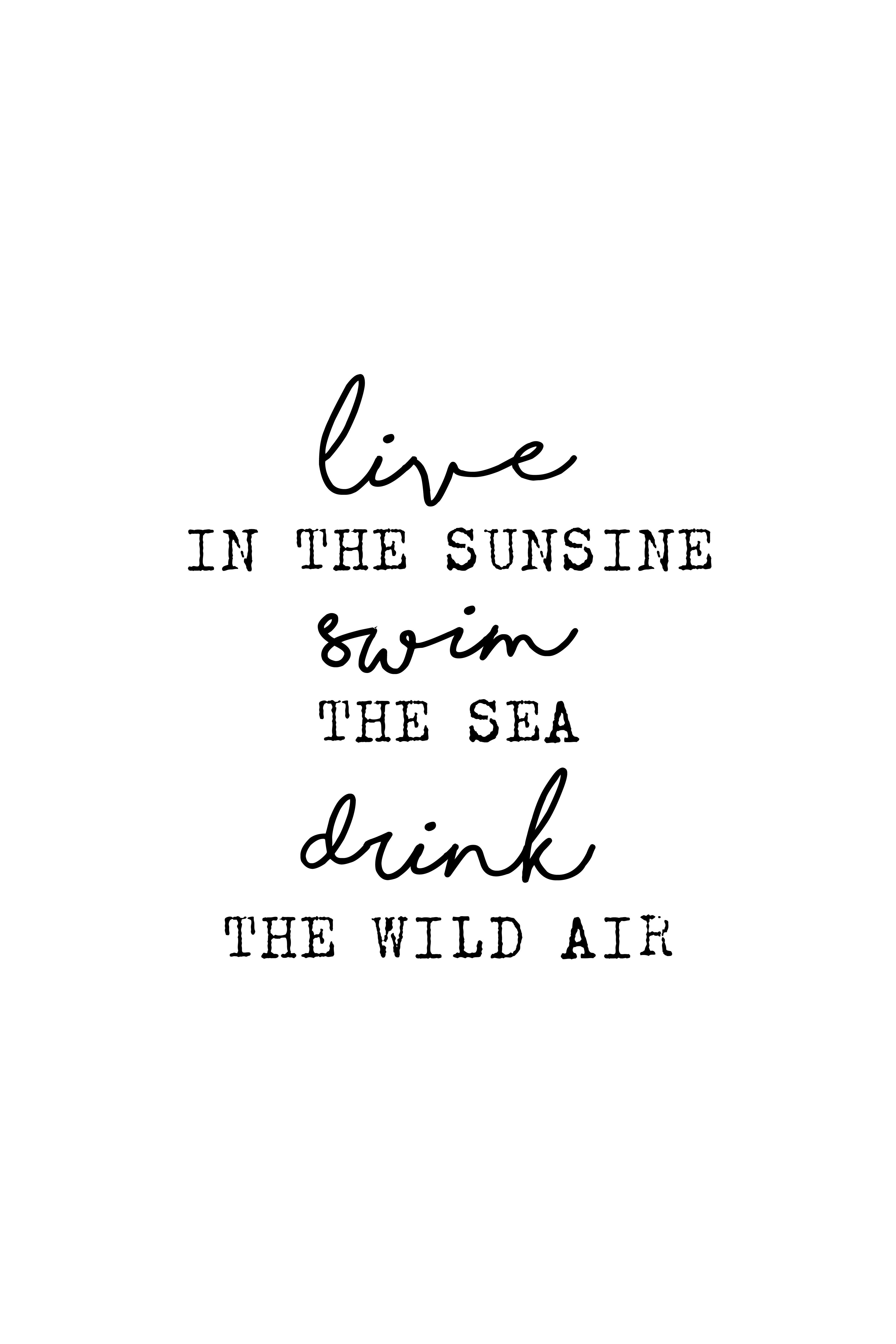 Live, Swim, Drink_Poster- Meri Deewar Poster A3 / Poster Premium Wall Art Canvas by MeriDeewar