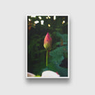 Lotus flower in pond Painting - Meri Deewar 2 : 3 Vertical Premium Wall Art Canvas by MeriDeewar