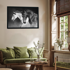 Majestic Stallions Framed Wall Painting 3 : 2 Horizontal Premium Wall Art Canvas by MeriDeewar