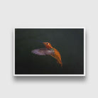 Malachite kingfisher painting - Meri Deewar 3 : 2 Horizontal Premium Wall Art Canvas by MeriDeewar