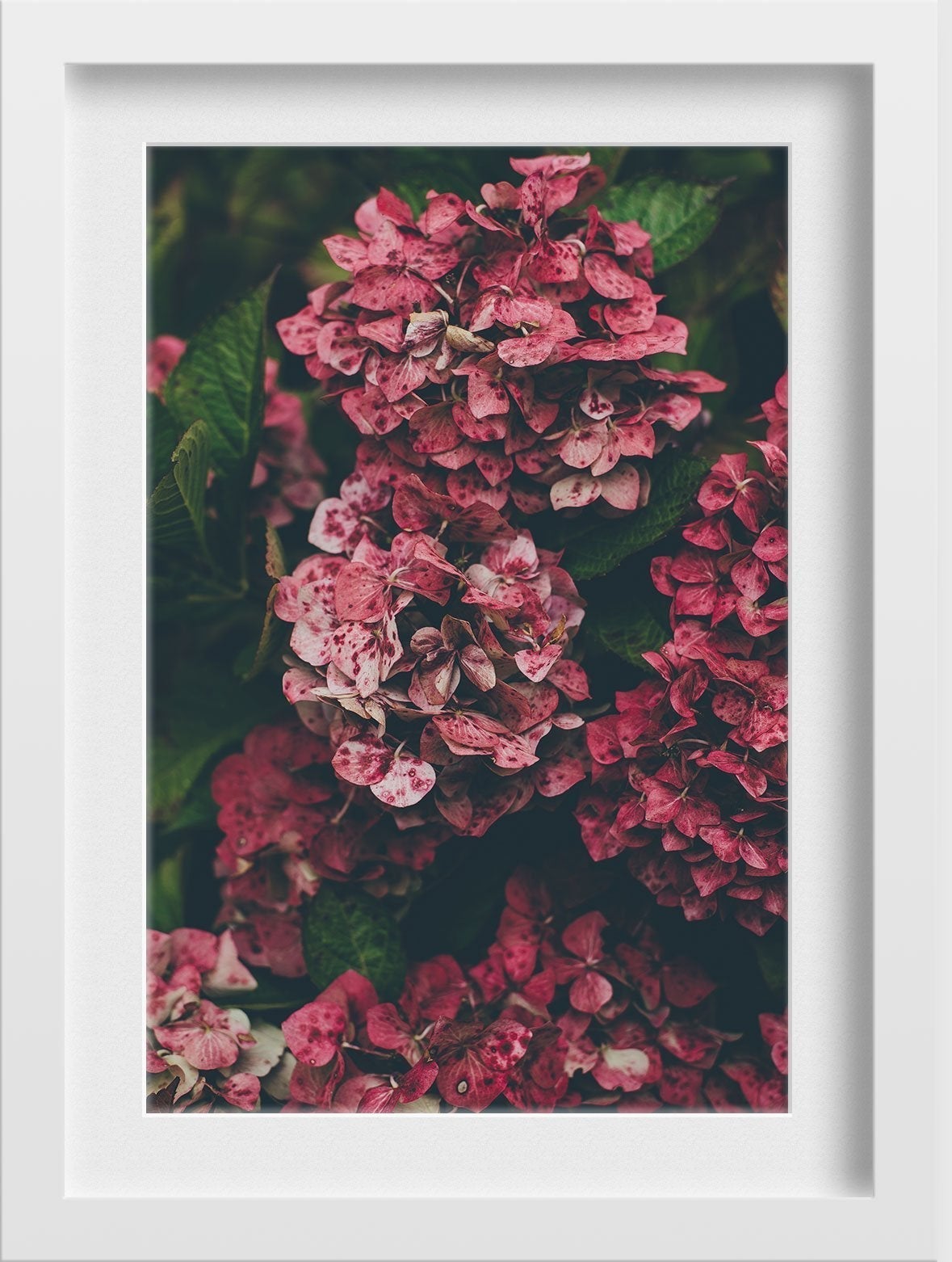 Maroon flowers Painting - Meri Deewar 2 : 3 Vertical Premium Wall Art Canvas by MeriDeewar
