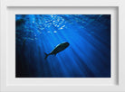 Mighty Whale Painting - Meri Deewar 3 : 2 Horizontal Premium Wall Art Canvas by MeriDeewar