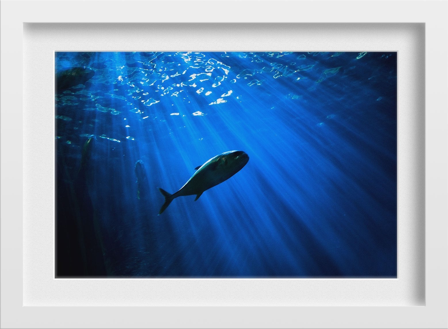 Mighty Whale Painting - Meri Deewar 3 : 2 Horizontal Premium Wall Art Canvas by MeriDeewar