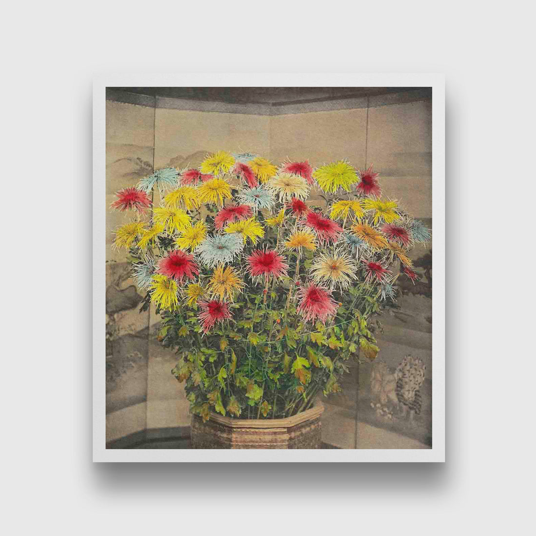 Misu–no–uchi, hand–colored collotype from Japanese Flowers painting 1 : 1 Square Premium Wall Art Canvas by MeriDeewar