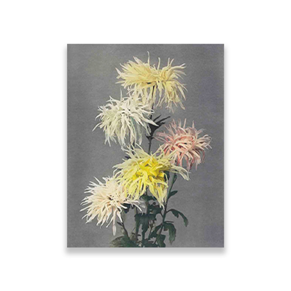 Nami–chi–dori painting 3 : 4 Vertical Premium Wall Art Canvas by MeriDeewar
