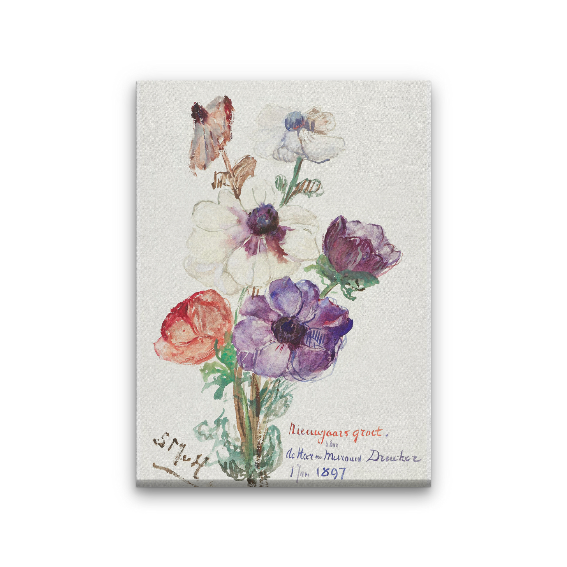 New Year's Greeting with Anemones Painting 2 : 3 Vertical Premium Wall Art Canvas by MeriDeewar