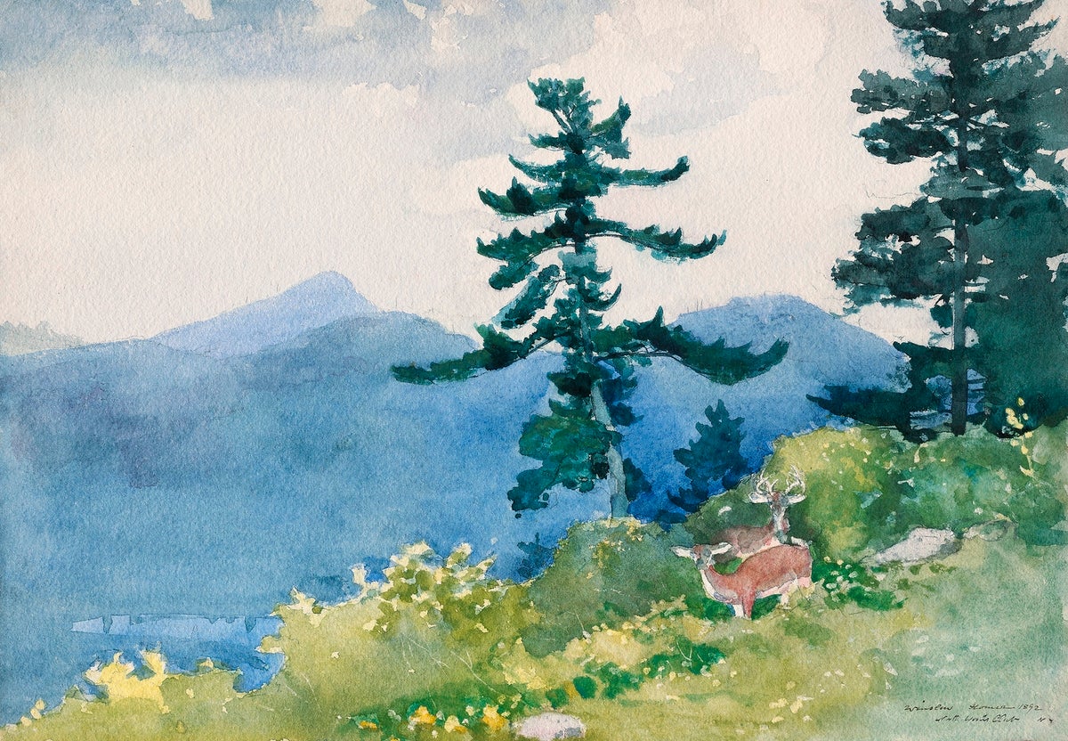 North Woods Club Adirondacks painting - Meri Deewar 3 : 2 Horizontal Premium Wall Art Canvas by MeriDeewar
