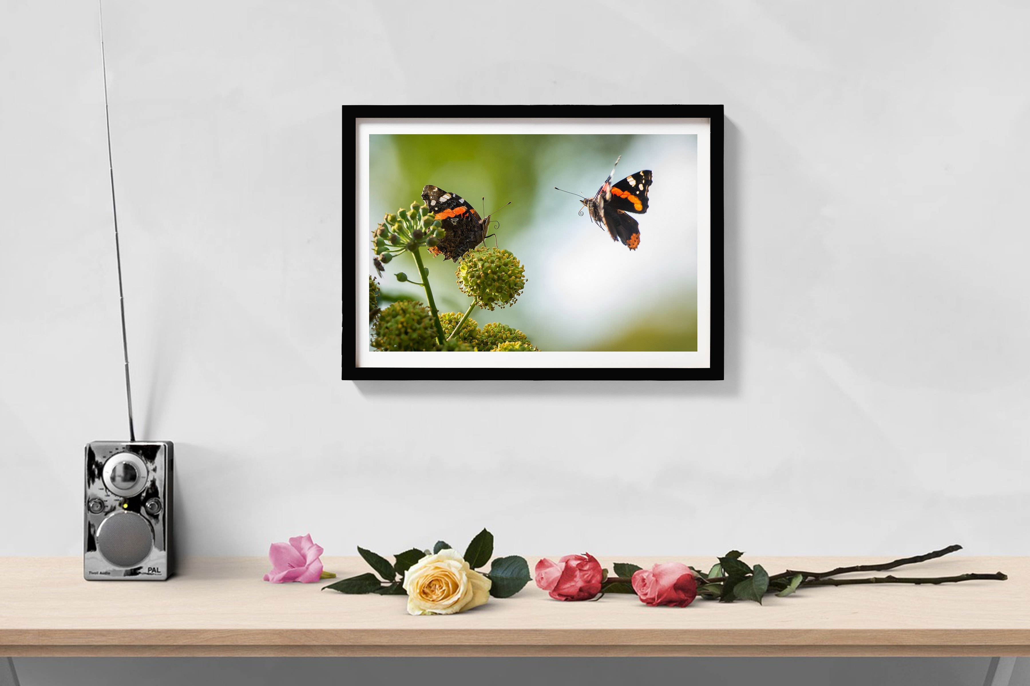 Pair of Butterflies Painting - Meri Deewar 3 : 2 Horizontal Premium Wall Art Canvas by MeriDeewar