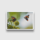 Pair of Butterflies Painting - Meri Deewar 3 : 2 Horizontal Premium Wall Art Canvas by MeriDeewar