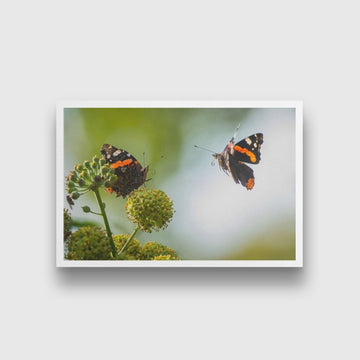 Pair of Butterflies Painting - Meri Deewar 3 : 2 Horizontal Premium Wall Art Canvas by MeriDeewar