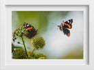 Pair of Butterflies Painting - Meri Deewar 3 : 2 Horizontal Premium Wall Art Canvas by MeriDeewar