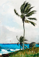 Palm Tree, Nassau painting - Meri Deewar 2 : 3 Vertical Premium Wall Art Canvas by MeriDeewar