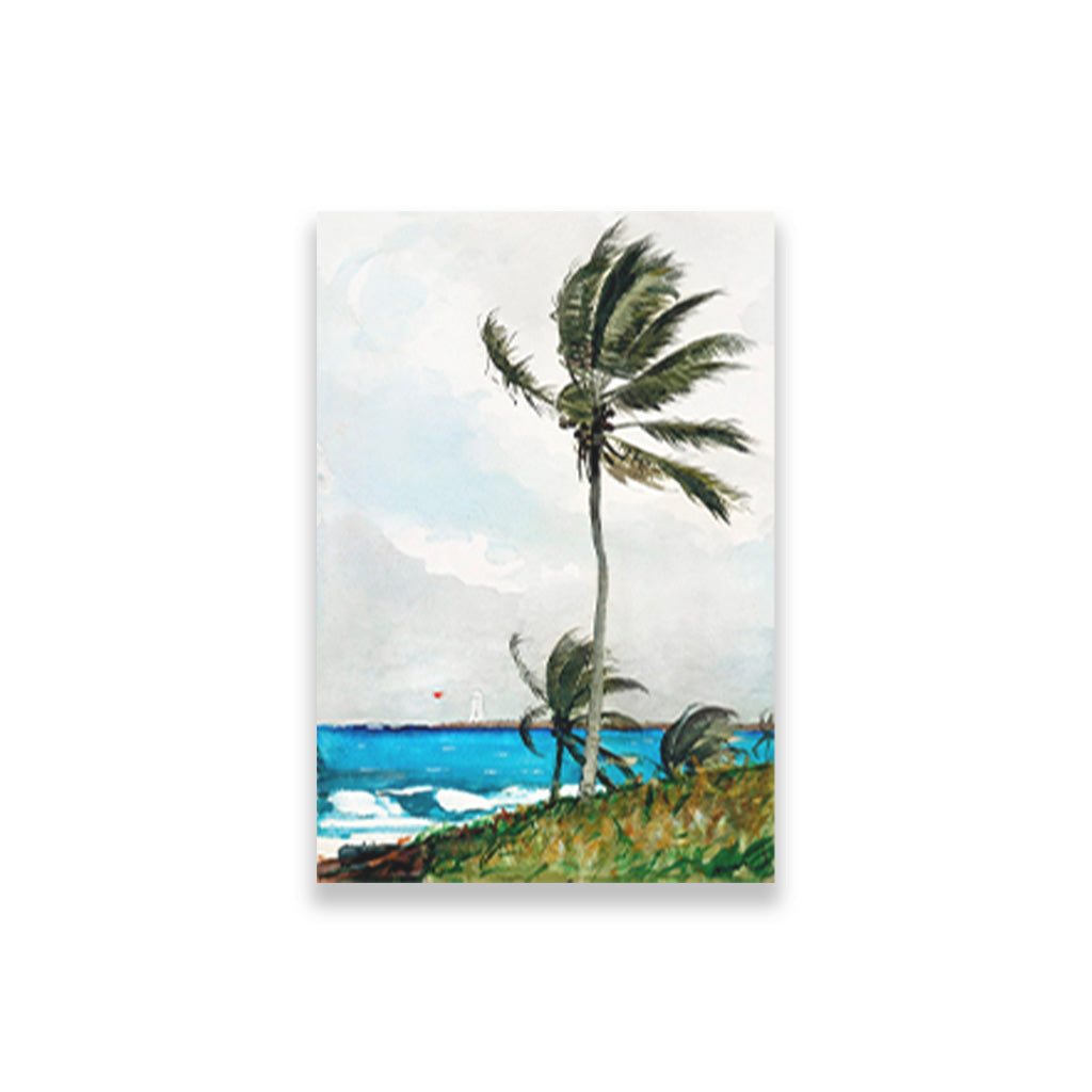 Palm Tree, Nassau painting - Meri Deewar 2 : 3 Vertical Premium Wall Art Canvas by MeriDeewar
