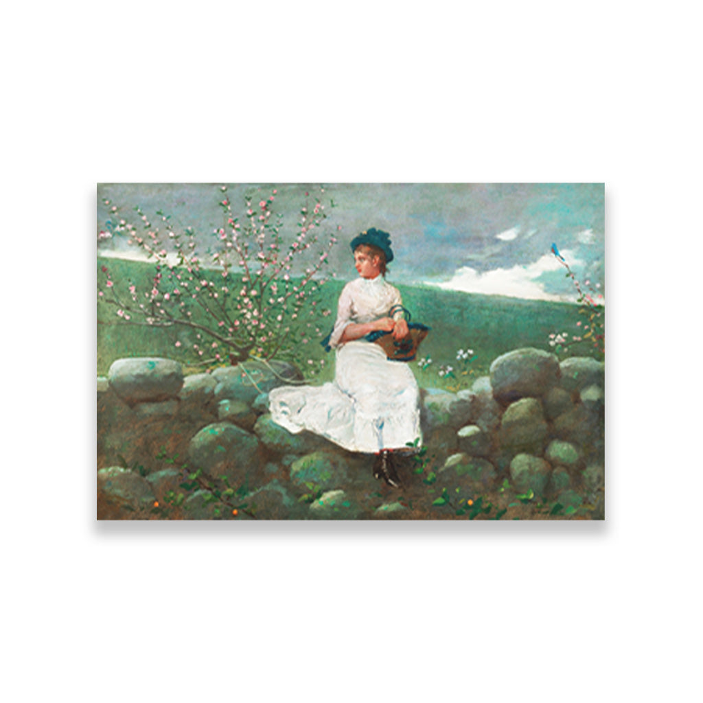 Peach Blossoms painting - Meri Deewar 3 : 2 Horizontal Premium Wall Art Canvas by MeriDeewar