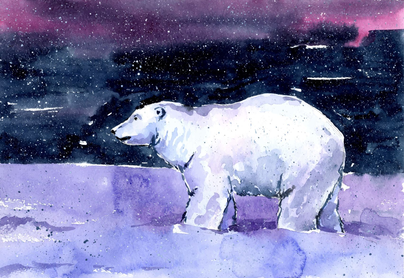 Polar Bear Painting - Meri Deewar 3 : 2 Horizontal Premium Wall Art Canvas by MeriDeewar