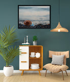 Sea Shell Isolated Painting - Meri Deewar 4 : 3 Horizontal Premium Wall Art Canvas by MeriDeewar