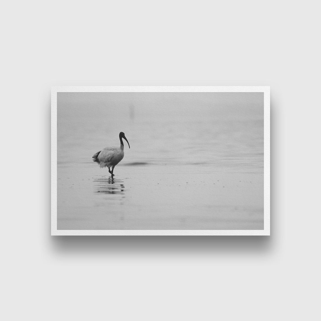 Solo Walk Wall Art Painting - Meri Deewar 3 : 2 Horizontal Premium Wall Art Canvas by MeriDeewar