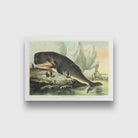 Sperm whale 3 : 2 Horizontal Premium Wall Art Canvas by MeriDeewar