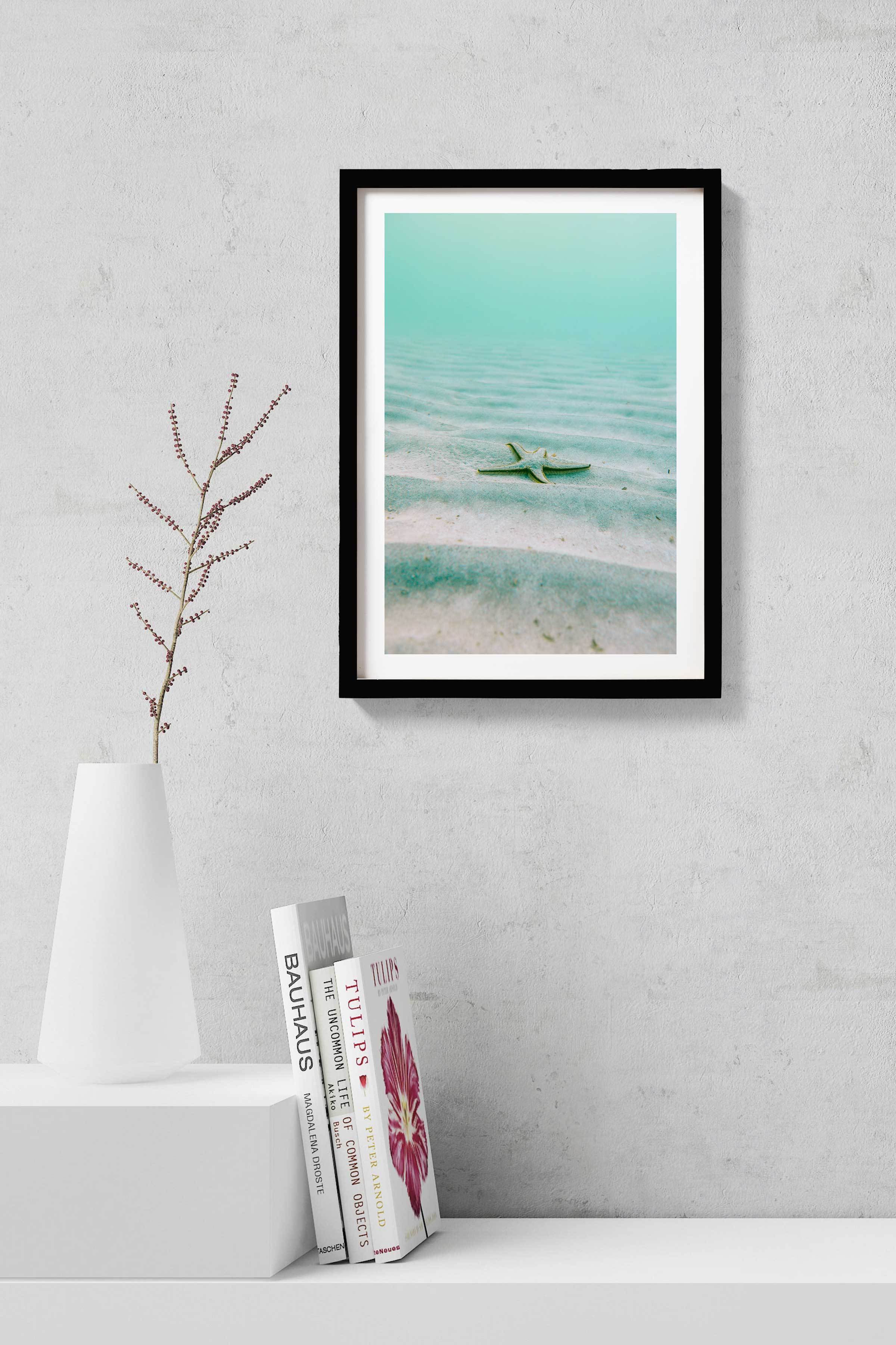 Starfish Painting - Meri Deewar 2 : 3 Vertical Premium Wall Art Canvas by MeriDeewar