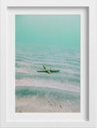 Starfish Painting - Meri Deewar 2 : 3 Vertical Premium Wall Art Canvas by MeriDeewar