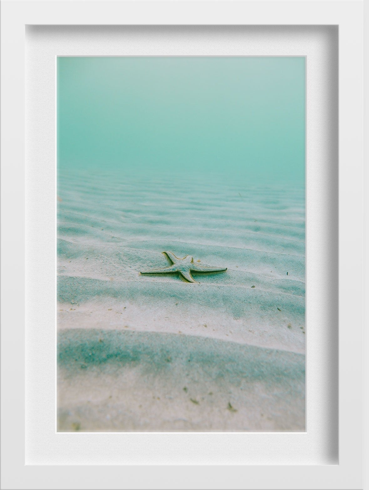 Starfish Painting - Meri Deewar 2 : 3 Vertical Premium Wall Art Canvas by MeriDeewar