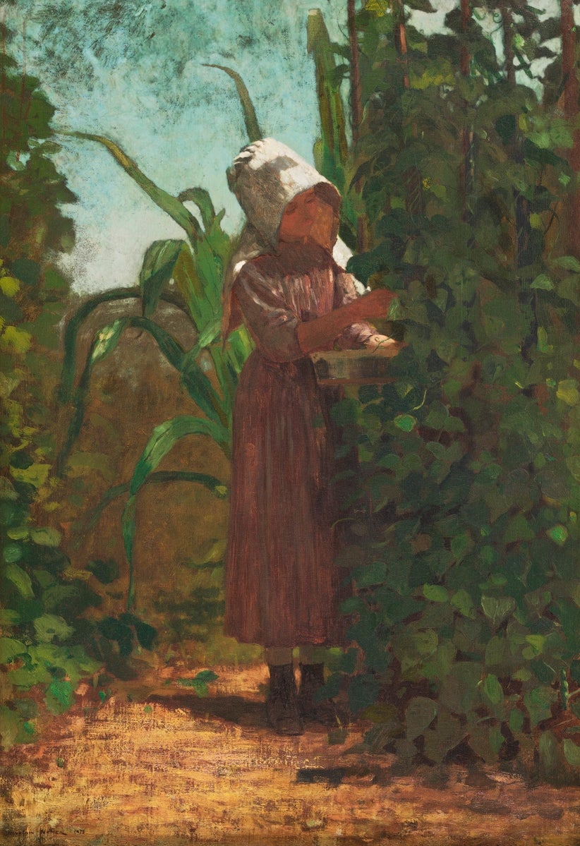 The Bean Picker painting - Meri Deewar 2 : 3 Vertical Premium Wall Art Canvas by MeriDeewar
