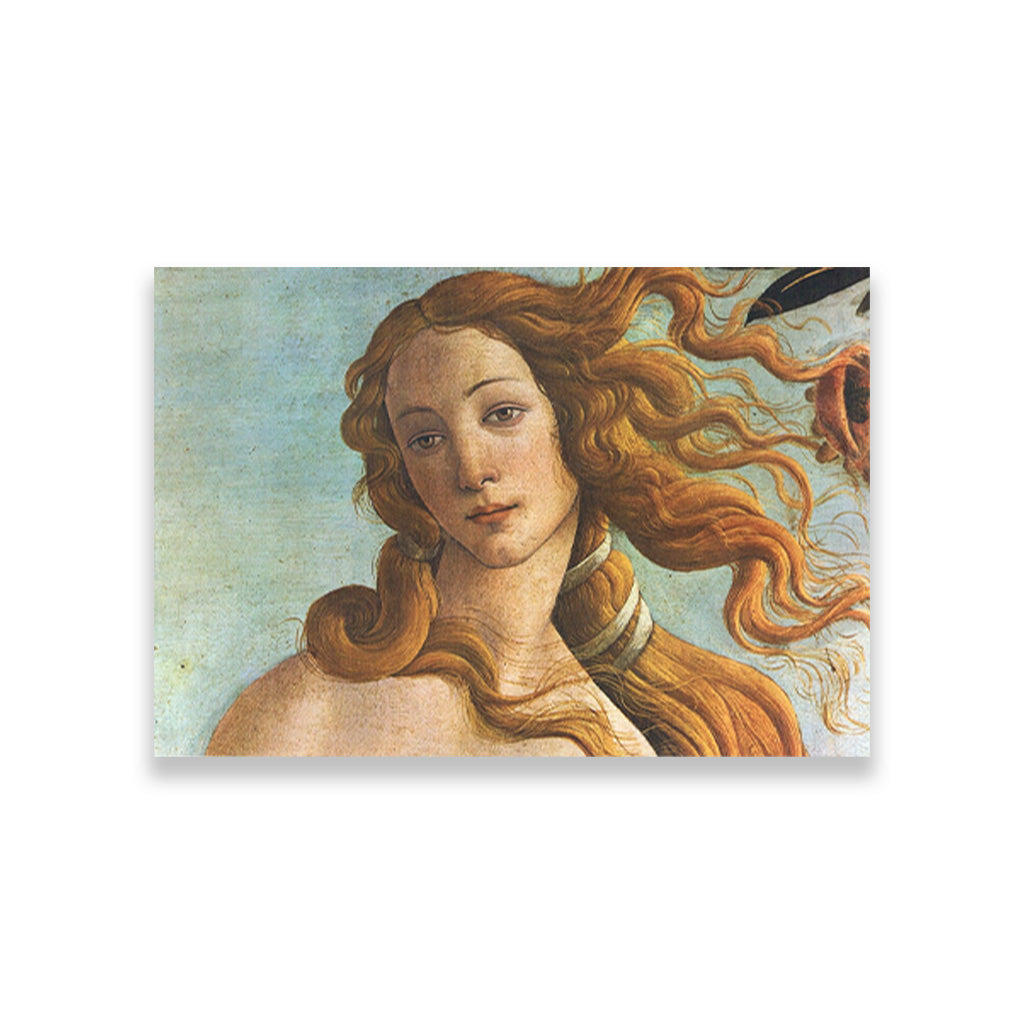 The Birth of Venus Painting - Meri Deewar 3 : 2 Horizontal Premium Wall Art Canvas by MeriDeewar