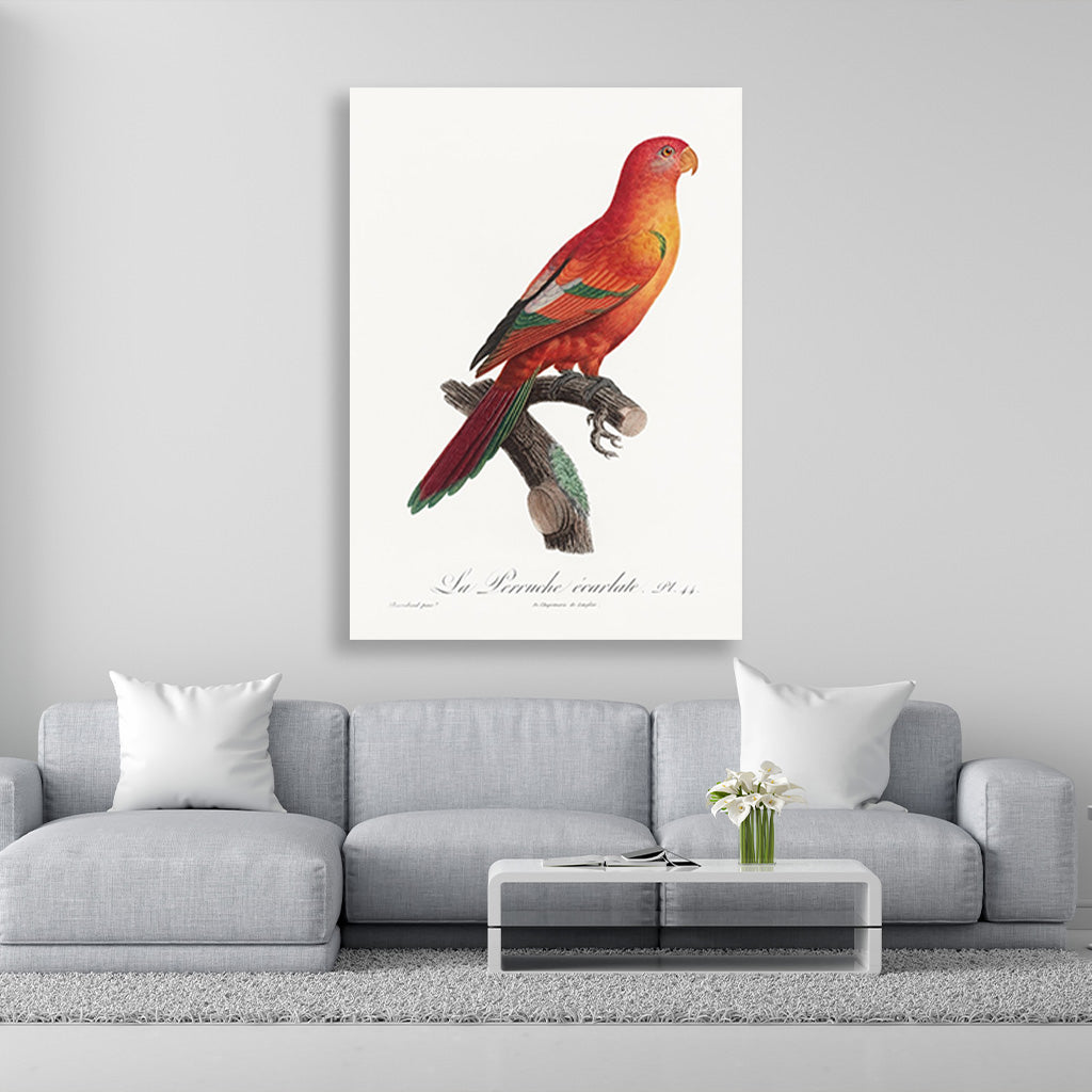 The Crimson Shining Parrot Painting - Meri Deewar 2 : 3 Vertical Premium Wall Art Canvas by MeriDeewar