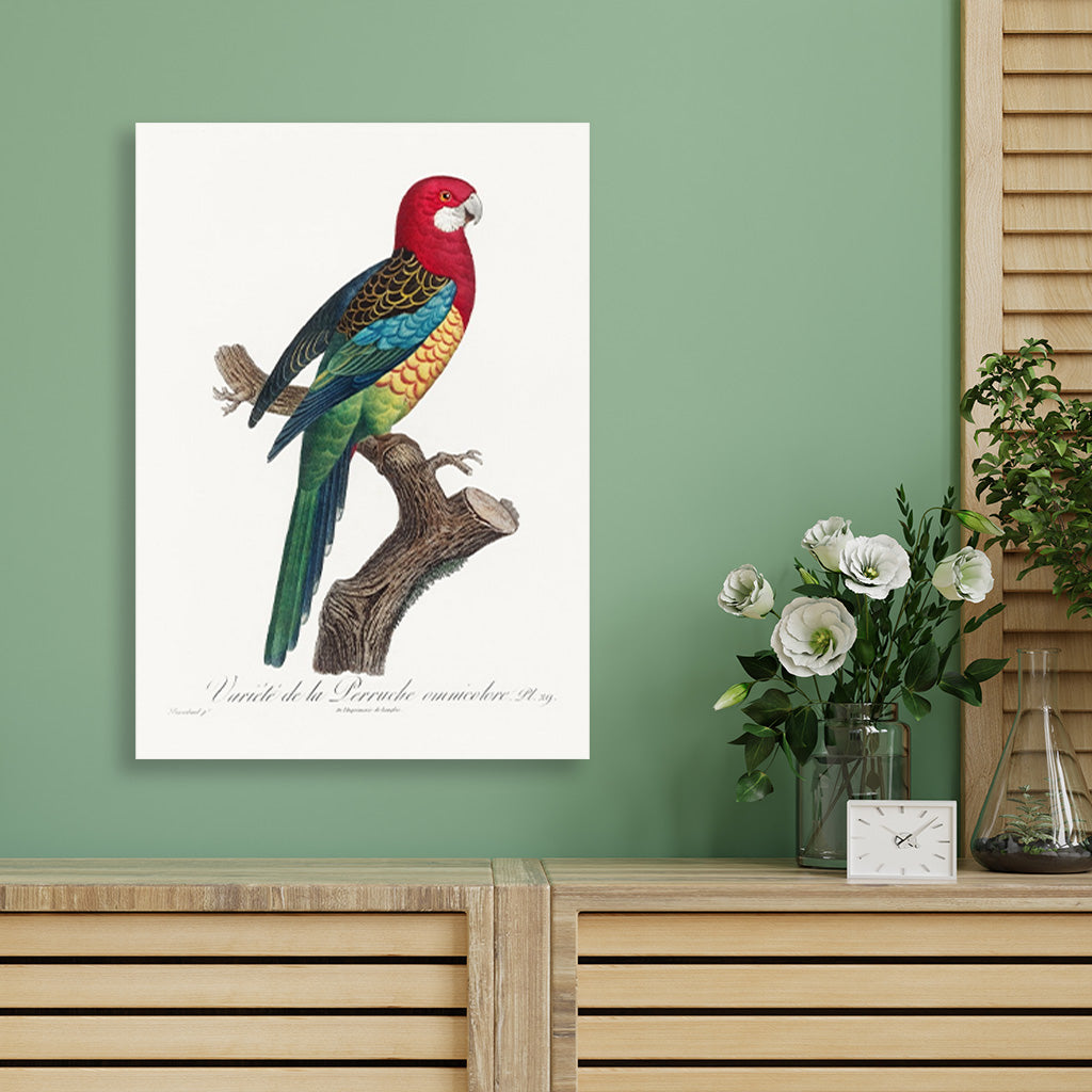 The Eastern Rosella Painting - Meri Deewar 2 : 3 Vertical Premium Wall Art Canvas by MeriDeewar