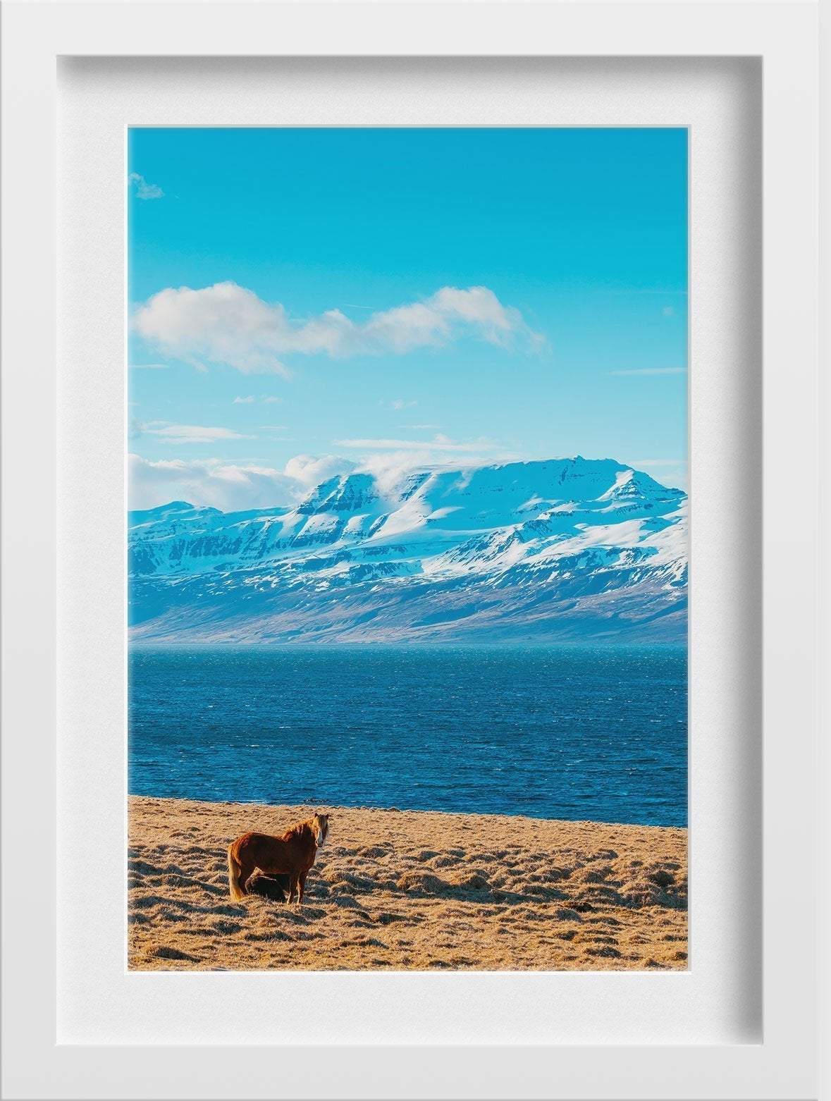 The golden Horse Painting - Meri Deewar 2 : 3 Vertical Premium Wall Art Canvas by MeriDeewar