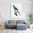 The Green-Shouldered Amazon, Amazona barbadensis from Natural History of Parrots Painting - Meri Deewar 2 : 3 Vertical Premium Wall Art Canvas by MeriDeewar