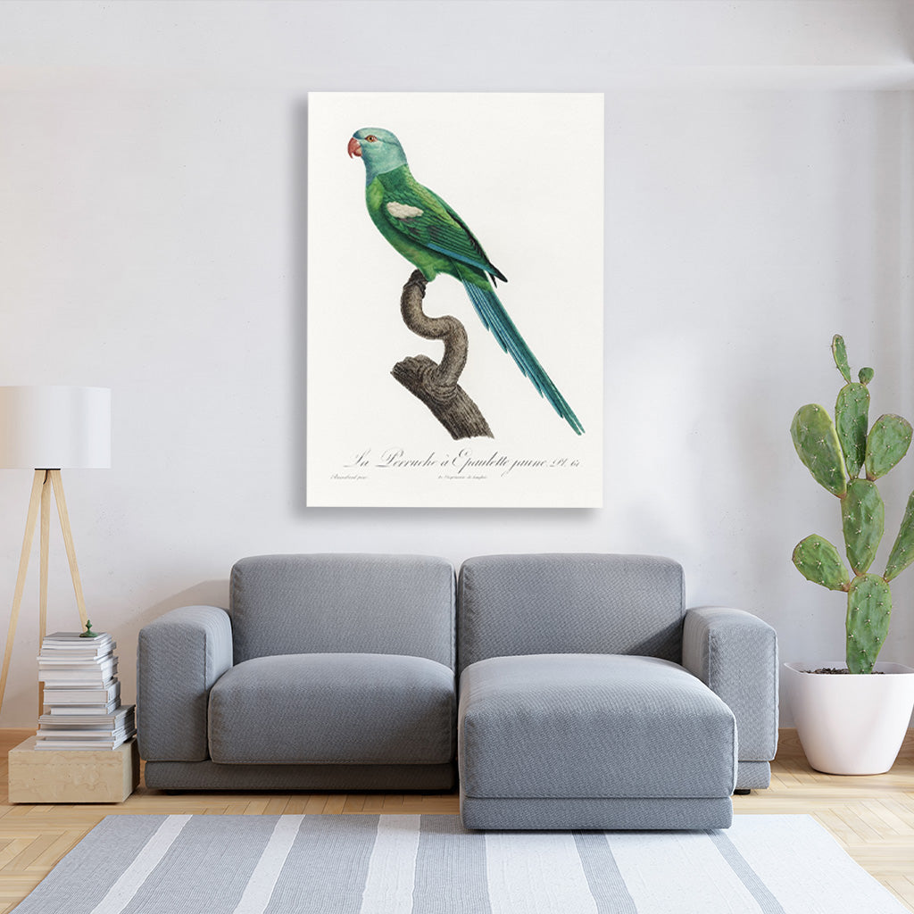 The Green-Shouldered Amazon, Amazona barbadensis from Natural History of Parrots Painting - Meri Deewar 2 : 3 Vertical Premium Wall Art Canvas by MeriDeewar