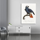 The Grey Parrot Painting - Meri Deewar 2 : 3 Vertical Premium Wall Art Canvas by MeriDeewar