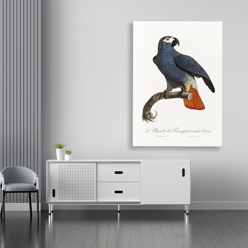 The Grey Parrot Painting - Meri Deewar 2 : 3 Vertical Premium Wall Art Canvas by MeriDeewar