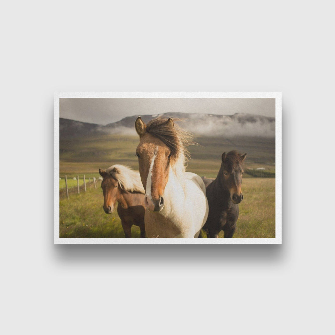 The Horse squad Painting - Meri Deewar 3 : 2 Horizontal Premium Wall Art Canvas by MeriDeewar