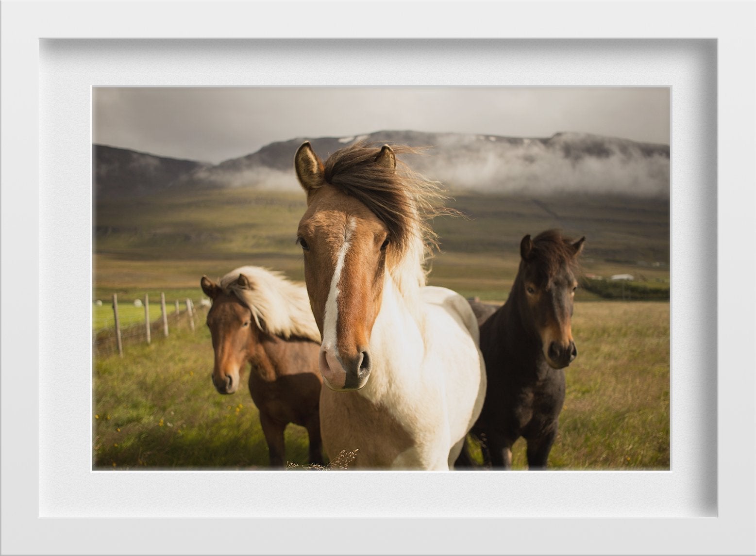 The Horse squad Painting - Meri Deewar 3 : 2 Horizontal Premium Wall Art Canvas by MeriDeewar
