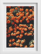The marigold field Painting - Meri Deewar 2 : 3 Vertical Premium Wall Art Canvas by MeriDeewar