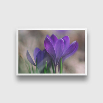 The Violet Lily Painting - Meri Deewar 3 : 2 Horizontal Premium Wall Art Canvas by MeriDeewar
