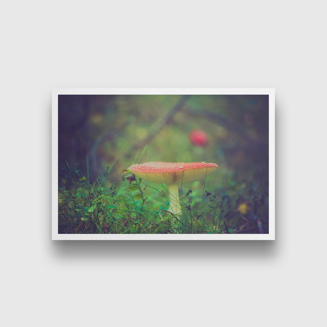 Tiny Mushroom Painting - Meri Deewar 3 : 2 Horizontal Premium Wall Art Canvas by MeriDeewar