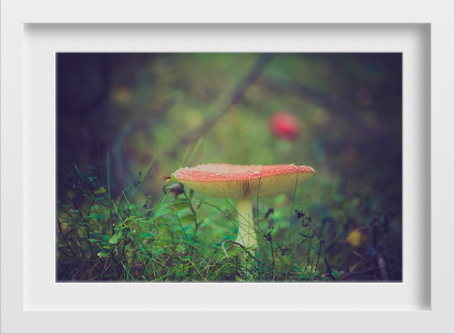Tiny Mushroom Painting - Meri Deewar 3 : 2 Horizontal Premium Wall Art Canvas by MeriDeewar
