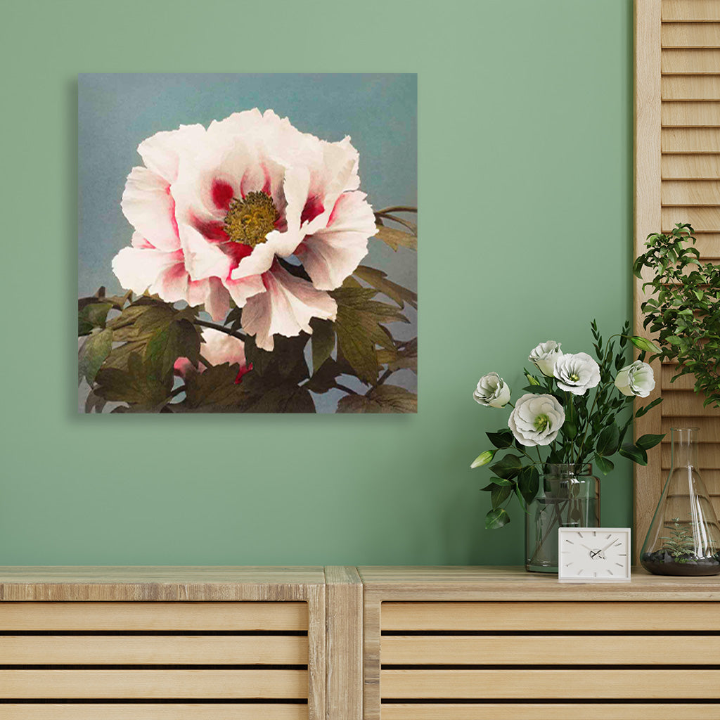 Tree Peony painting 1 : 1 Square Premium Wall Art Canvas by MeriDeewar