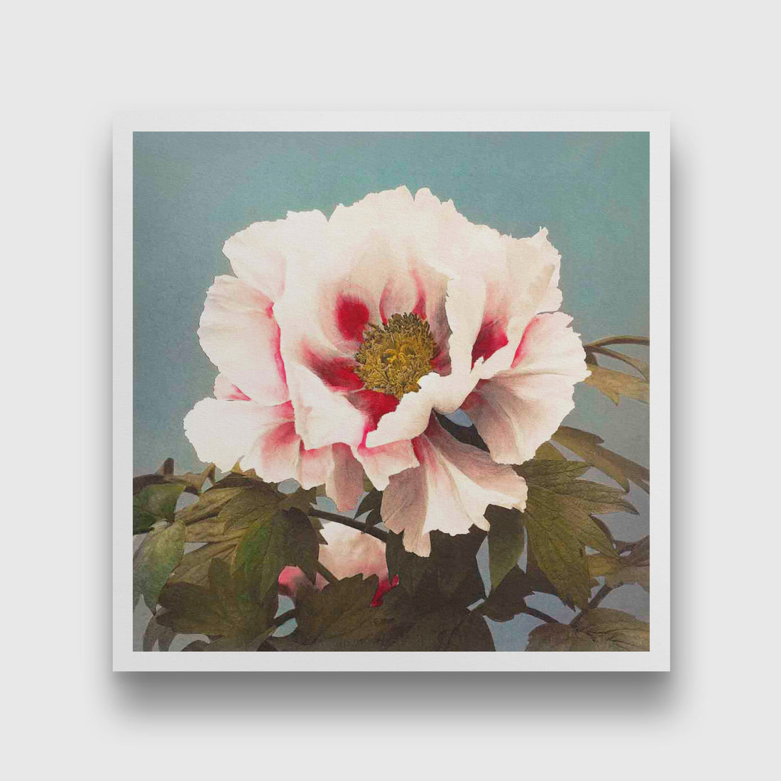 Tree Peony painting 1 : 1 Square Premium Wall Art Canvas by MeriDeewar